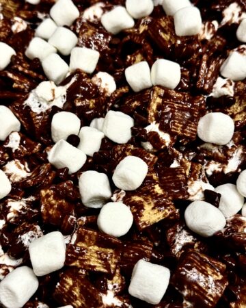 Melted chocolate and marshmallows cover golden grahams ceral